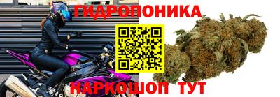 сатива Гусев