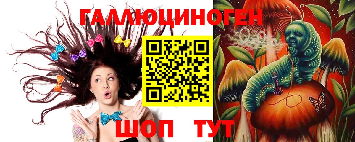 Псилоцибиновые грибы Cubensis  закладка  Галлюциногенные грибы ЛСД  Лениногорск 