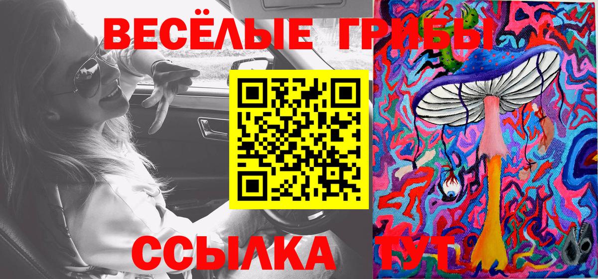 Галлюциногенные грибы Psilocybine cubensis Лениногорск