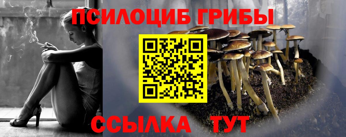 Псилоцибиновые грибы мицелий  Вход с VPN  Лениногорск 